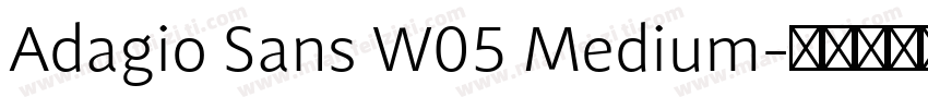 Adagio Sans W05 Medium字体转换